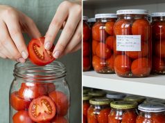Fresh Tomatoes for 2 Years, Without Vinegar: The Foolproof Method to Make Them Last That Long