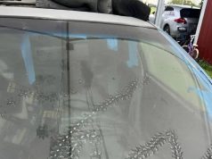 I discovered some strange marks on my car… and I was surprised to learn what caused them.