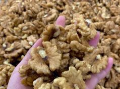 Should You Avoid Eating Walnuts at Night? Here’s What You Need to Know