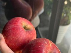 How Eating an Apple Every Morning Benefits You