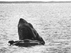 Deleted Jaws scene: The shark attack you never saw