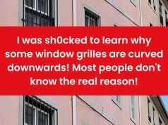 Curved Window Grilles vs. Straight Grilles: Which One Is Better for Your Home?
