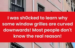 Curved Window Grilles vs. Straight Grilles: Which One Is Better for Your Home?