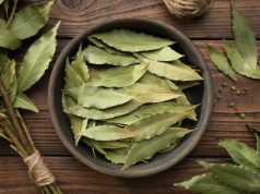 Bay leaf infusion: what are its benefits?